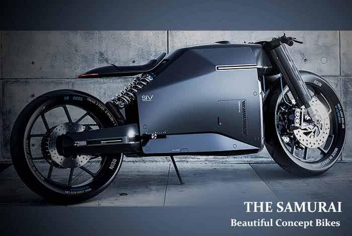 THE SAMURAI